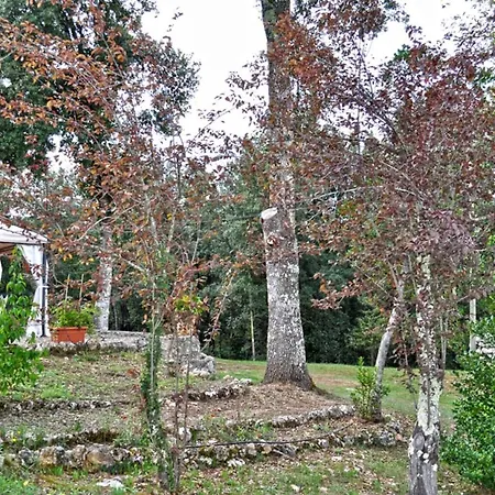 Casa Al Bosco Private Pool In The Wood *